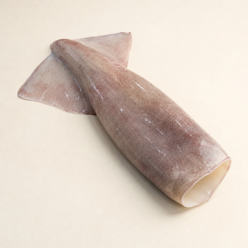 Squid Body (U5)